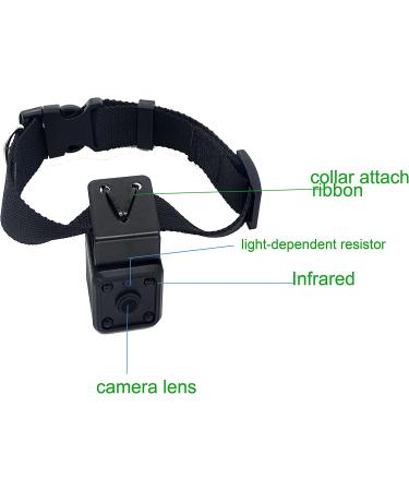 32GB Digital Pet Collar Dog Cam DVR Video Recorder with Monitor - Black (TF Card Included) - Buy Online on GoSupps.com
