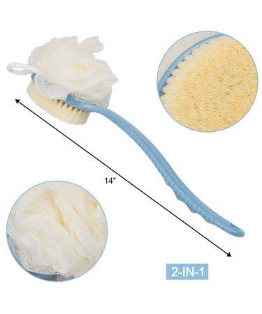 2 Pack Back Scrubber for Shower - Bath Body Brush with Bristles and Loofah - Exfoliating Body Brush for Men and Women (Blue&White) - Buy Online on GoSupps.com
