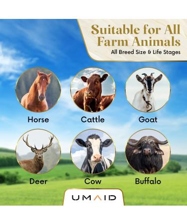 UMAID 6 lbs Himalayan Animal Lick Salt On Rope for Horses, Deer, Livestock - 2 Count - Buy Online on GoSupps.com