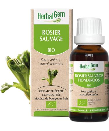 HERBALGEM - Macerate Mother - Organic Wild Rose - Nutritional Supplement Gemmotherapy Concentrated - Fresh Bud Extract - For Natural Defenses - Vegan - 30 ml - Buy Online on GoSupps.com