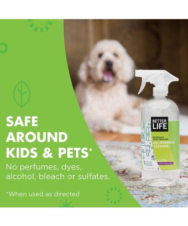Better Life Natural All-Purpose Cleaner  Safe Around Kids & Pets  Clary Sage & Citrus  32 Fl Oz (Pack of 2) 32 Fl Oz (Pack of 2) Clary Sage & Citrus - Buy Online on GoSupps.com