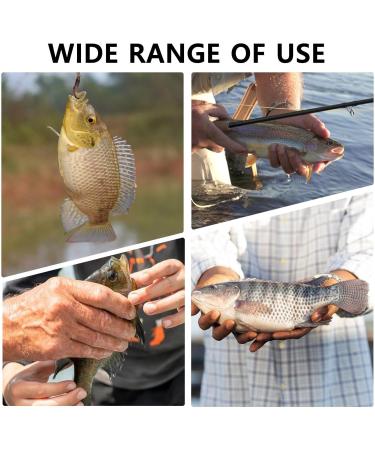 Scale Engraver Fish Lip Admite Multilanguage Swivel Control without Slide with Carabiner and AntiLoss Rope for Men Kids Dad - Buy Online on GoSupps.com