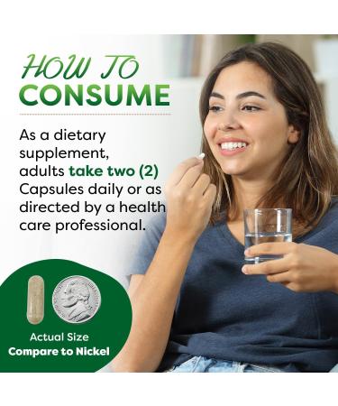 Best Naturals Dandelion Root 520 mg 250 Capsules (Pack of 2) - Buy Online on GoSupps.com