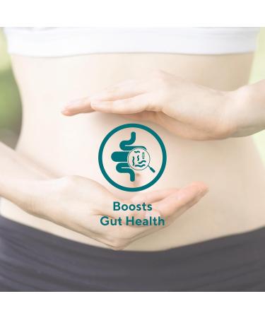 Blue Green Organics | Inulin Powder | Gut microbiome | Agave | Fiber Powder | Prebiotics | Vegan | Keto | Kosher | Fiber Supplement | Net Wt 77 Lb - Buy Online on GoSupps.com