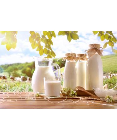 Zynewa Skimmed milk powder skimmed milk powder from Schwarzwaldhof dry milk top quality powder spray dried PE bucket 1600 g 16 kg - Buy Online on GoSupps.com