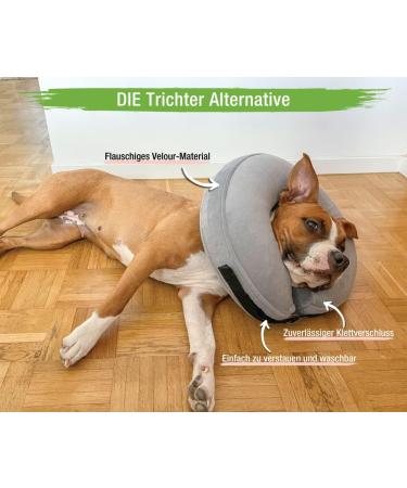 MC-Royal Premium Inflatable Collar for Dogs & Cats | XL Protective Breakthrow | Reliable Leakage Protection  - Buy Online on GoSupps.com