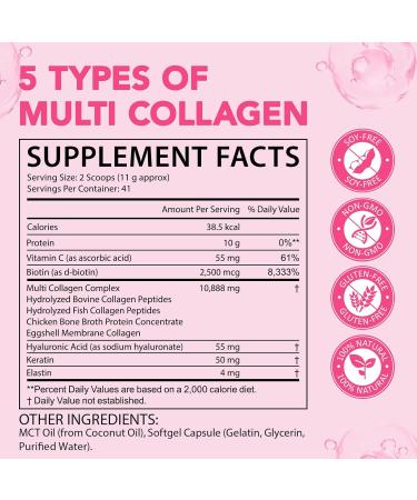 Multi Collagen Peptides Powder Types I II III V X 1 Pounds Unflavored with Biotin Hyaluronic Acid & Vitamin C Keto & Paleo Non-GMO Gluten-Free 1 Pound (Pack of 1) - Buy Online on GoSupps.com