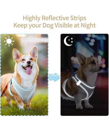 Heele Soft Dog Dishes & Adjustable Harness Vest - Safe Control for Small Dogs | Reflective Air Mesh Blue XS - Perfect for Walking Running & Training - Buy Online on GoSupps.com