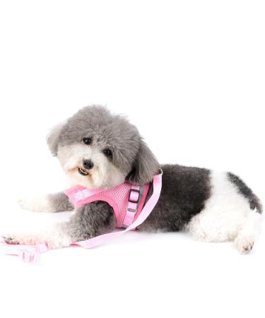 Ranphy Cat Dishes & Adjustable Leash - Reflective Small Dog Harness No Pulling Soft Mesh Fabric Padded Hiking Jacket XS - Pink - Buy Online on GoSupps.com