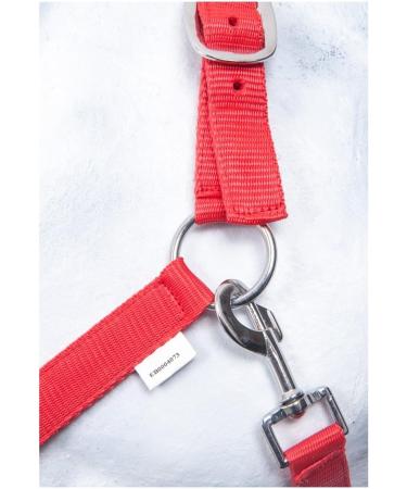 Buy RL24 Nylonhaler Basicline Red Shetty - Premium Quality Horse Equipment | Fast International Shipping - Buy Online on GoSupps.com