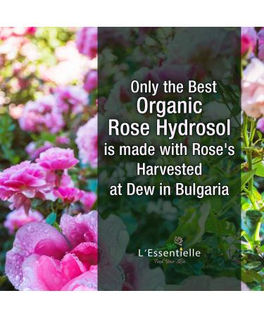 Organic Alcohol Free Rose Water Face Toner - 100% Pure & Natural - 150ml - Buy Online on GoSupps.com