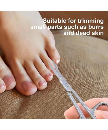 Stainless Curved Blades Nail Scissors | Nail Maintenance Toenail and Fingernail Scissor - Stainless Steel Curved Eyebrow Scissors for Beard/Nose Hair/Mustache/Eyelash Grooming Tool - Buy Online on GoSupps.com