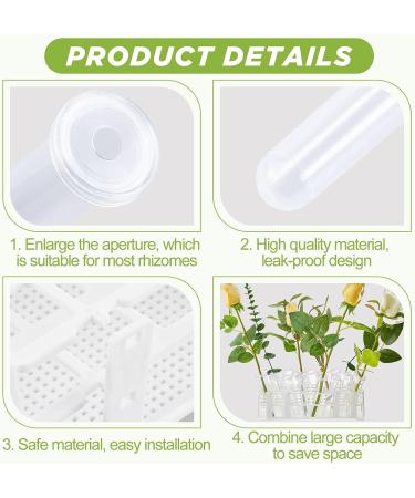 50 Pcs Floral Water Tubes with Rack Holder - Flower Vials for Milkweed Cuttings and Arrangements - Buy Online on GoSupps.com