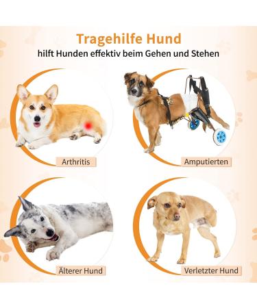 Premium Dog Harness for Hedge Aid | Comfortable & Durable Dog Gear for International Shipping - Buy Online on GoSupps.com