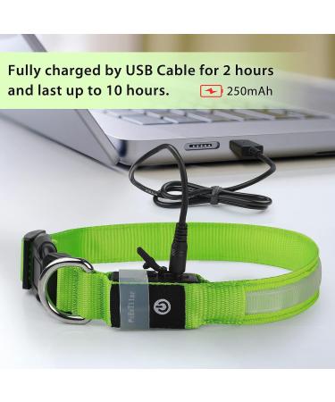LED Light Up Dog Collar - USB Rechargeable, Waterproof, Adjustable - Green - M(38-50cm/15-19.7inch) - Buy Online on GoSupps.com