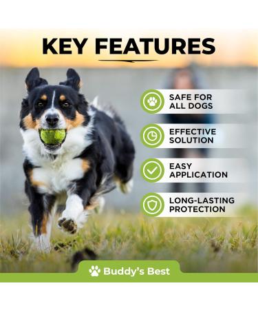 Spot On Flea Treatment For Dogs | Natural Flea & Tick Repellent | Long Lasting & Effective Protection | 50ml - Buy Online on GoSupps.com