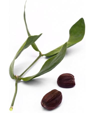 Organic Jojoba Oil 4 fl oz (118 ml) Liquid - Buy Online on GoSupps.com