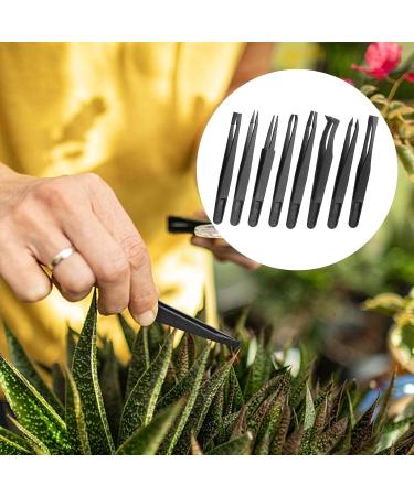 8 Pieces Venus Fly Trap Feeding Tweezers Carnivorous Plant Feeding Tongs Straight and Curved Food Tongs for Flytraps Pitcher Plants Butterwort Reptile Feeding - Buy Online on GoSupps.com