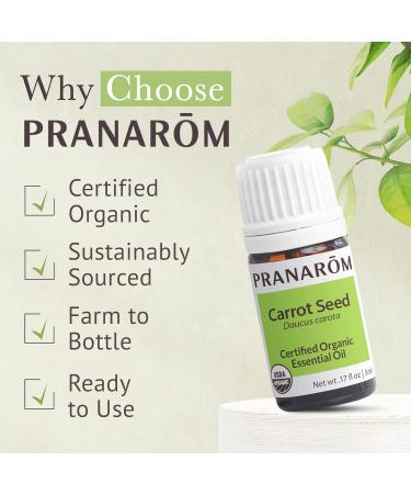 Pranarom Carrot Seed Oil 5ml | 100% Pure Organic Essential Oil for Skincare & Wellness | USDA & ECOCERT Certified - Buy Online on GoSupps.com