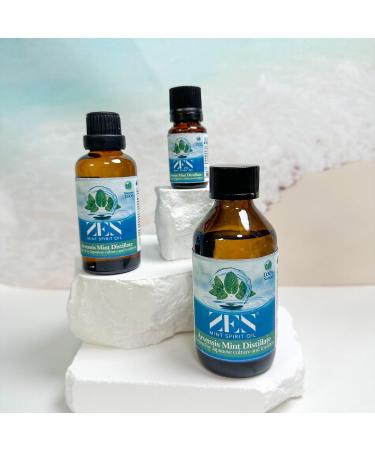 100% Mentha Arvensis Mint Essential Oil 50ml Pure Peppermint Essential Oil Essential Oils for Diffuser Peppermint Arvensis Mint Distillate Oils for Aromatherapy & Massage - Buy Online on GoSupps.com