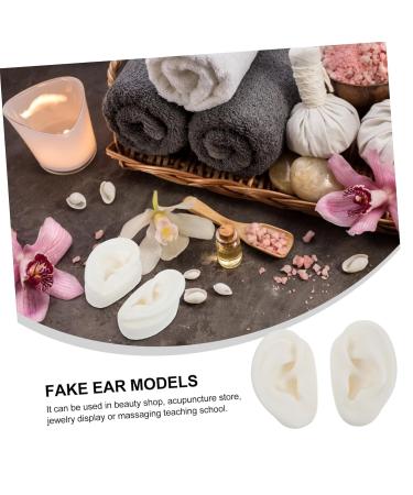 Didiseaon 1 Pair Silicone Fake Ear Model Display for Studs Human Ear Simulation Model Smooth Texture - Buy Online on GoSupps.com