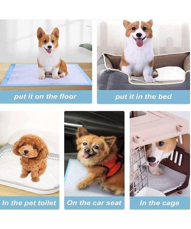 200 Pcs Puppy Pee Pads Training Puppy Pee Pads Super Absorbent & Leak-Proof Disposable Pet Piddle Pad and Potty Pads for Puppies Dogs Doggie Cats Rabbits 18 x 13 inch 200 Pcs- 18 x 13 inch - Buy Online on GoSupps.com