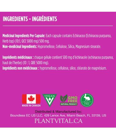 PlantVital Echinacea capsules 500mg - Source of Vitamin C and Zinc - Treatment for respiratory tract infections - Helps relieve cold symptoms - Vegan -Non-GMO - 4 Months Supply - 120 Capsules 120 count (Pack of 1) - Buy Online on GoSupps.com