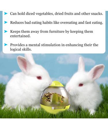 Meric Rabbit IQ Treat Ball - Interactive Slow Feeder Toy for Mental & Physical Exercise - Green - Buy Online on GoSupps.com