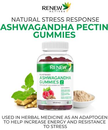 Renew Actives Ashwagandha 100MG per 4 Gummies Memory Focus & Energy Boost Traditionally Used as a Rejuvenative Tonic Vegan Herbal Adaptogen Made in Canada 60 Gummies - Buy Online on GoSupps.com