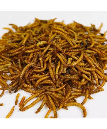 Buy GardenersDream Dried Mealworms - 5 kg Wild Bird Food for a Thriving Garden | International Shipping Available - Buy Online on GoSupps.com