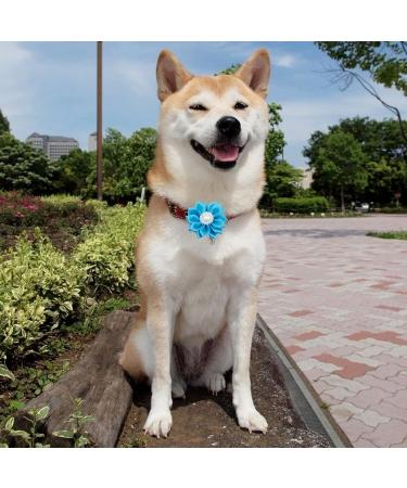 BIPY 20PCS Dog Hair Bows with Rubber Bands for Puppies Cats Pet Kitten Valentine s Day Wedding Festival Grooming Accessories Attachment - Buy Online on GoSupps.com