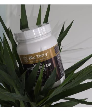BLU TORRY 100% Whey Protein Isolate Chocolate - Buy Online on GoSupps.com