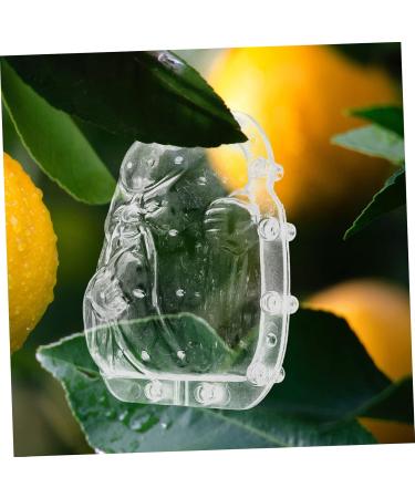 TOVINANNA 2pcs Fruit Shaping Cucumbers Fruit Transparent Forming Forming Machine Gourd As Shownx2pcs 11x10cmx2pcs - Buy Online on GoSupps.com