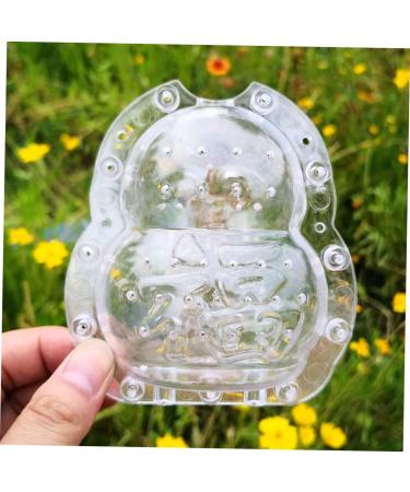 SHOWERORO Fruit Shaping Mold 2pcs Vegetable Shaping Mold Mini Accessories Transparent Forming Mold Adorable Fruit Mold Modeling - Buy Online on GoSupps.com