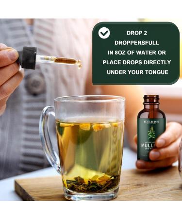 Mullein Leaf Extract for Lungs Mullein Drops Medlife Mullein Extract with Premium Mullein Leaf Extract Alcohol-Free Health Supplement Drops for Fast Absorption - Buy Online on GoSupps.com