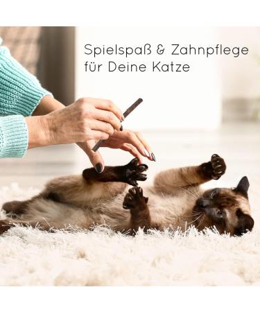 KaraLuna 8x Catnip Sticks - Natural Dental Treat & Cat Toy with Matatabi Silvervine - Buy Online on GoSupps.com