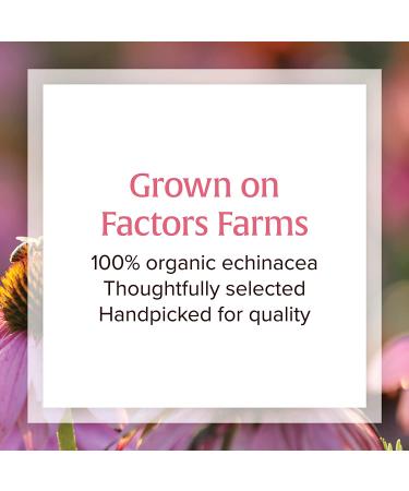 Natural Factors Anti-V Formula with Echinamide 3.4 fl oz | Immune Support Supplement - Buy Online on GoSupps.com