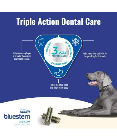 bluestem Veggie Dental Chews for Dogs - Dental Care Dog Treats for Medium Breed - Wheat & Soy Free 30 Medium Dog Chews - Dog Breath Freshener Treats - Buy Online on GoSupps.com