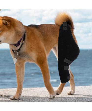 Dualoai Dog Knee Brace Adjustable Belt Durable Supportive Breathable Wrist Guard Ankle Brace for Dog Supplies Left Rear - Buy Online on GoSupps.com