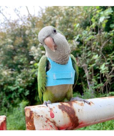 Bird Flight Harness Vest for Parakeets, Cockatiels, Conures, Budgies | Parrot Flight Suit with Leash, Rope, and Handle | Outdoor Training Clothes for Bird Flying Activities | Anti Bite | Medium Blue - Buy Online on GoSupps.com