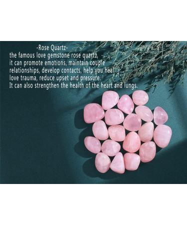 Rose Quartz Crystal Stones - Natural Polished Tumbled Stones Bulk Gemstones for Vase Filler and Energy Healing - 100g - Buy Online on GoSupps.com
