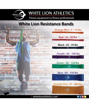 White Lion - Resistance Bands |Assisted Pull Up Monster Bands | Resistance Bands for Crossfit Therapy Bands #3 Black - Buy Online on GoSupps.com