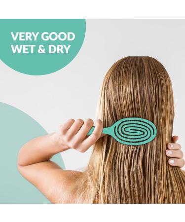 marQus Detangle Hair Brush - Ultra-Soft Bristles for All Hair Types - Aqua Brush for Men and Women - Wet and Dry Hair - 1pcs - Buy Online on GoSupps.com
