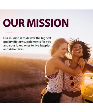 Vitacook High Potency Iron Supplement with Vitamin C - Vegan Iron for Energy, Muscle & Immune Support - 60 Count - Buy Online on GoSupps.com