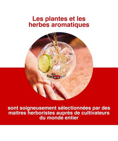 MARTINI Vibrante and Floreale Non Alcoholic Aperitivo Dual Pack 2 x 75cl / 750ml Infused with Superior Botanicals - Buy Online on GoSupps.com