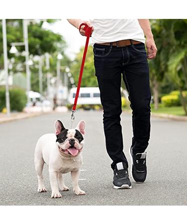 20m Track Leash for Dogs - Runeay Drag Line with Padded Handle for Training & Walking | Durable Leash for Small & Large Dogs - Red - Buy Online on GoSupps.com