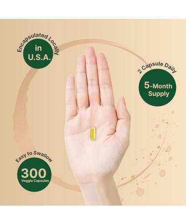 Berberine Supplement 500mg 300 Veggie Capsules | 97% Pure Berberine HCL | 5:1 Root Extract | Supports Balanced Sugar Levels & Heart Health | Vegan Non-GMO Berberine 500mg - Buy Online on GoSupps.com