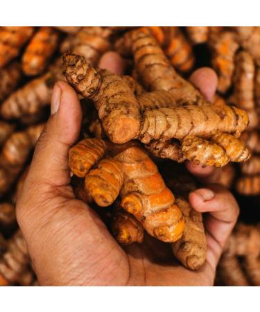 Turmeric (Turmeric) Organic Powder - 100g (Quality Assured) - Buy Online on GoSupps.com