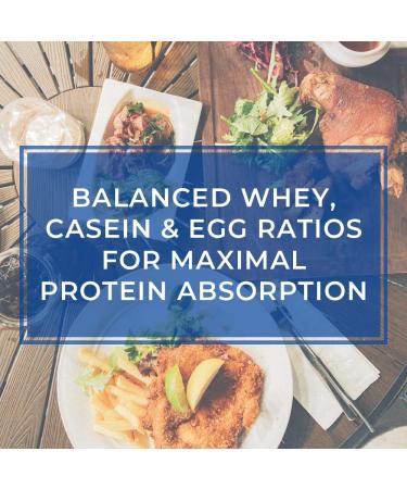 Body Nutrition Protein Trutein Powder - Naturals CinnaBun 4lb Whey - Keto Friendly Lean Muscle Builder & Recovery Drink - 4 Pound Pack - Buy Online on GoSupps.com