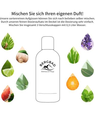 BERGBAD Sauna Infusion BIRKE PUR 100ml | Natural Essential Oils for Relaxation - International Shipping Available - Buy Online on GoSupps.com
